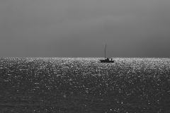 IMG_8520