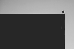 842A5217