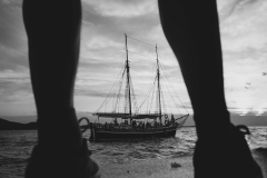 842A6791
