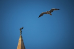 IMG_0013