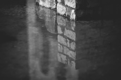 IMG_2547