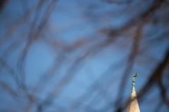 IMG_3719