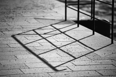 IMG_3737