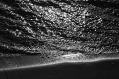 IMG_3931