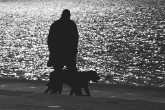 IMG_7463