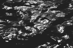 IMG_7465