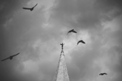 IMG_7512