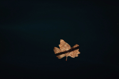 842A9409