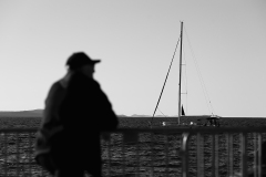 842A9731