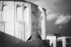 IMG_6150
