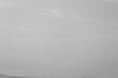 842A7505