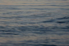 842A7635