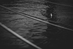 IMG_8816