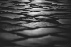 IMG_8822