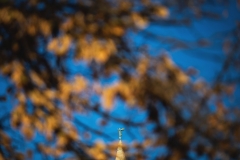 IMG_1938