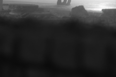 842A3335