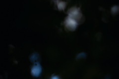 842A8672