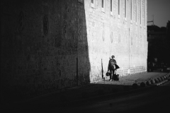 IMG_2242