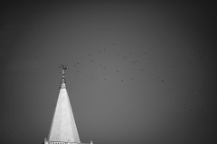 IMG_2259