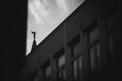 IMG_2319