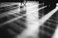 IMG_2328
