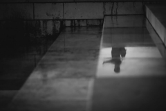 IMG_2549