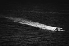 842A8071