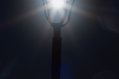 842A8227