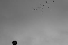 842A9138_1