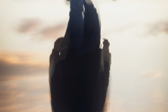 842A7953