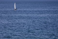 842A5016