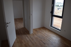 335047320_201722245879946_2105337250131599246_n