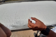 sol