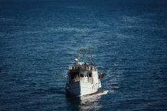 842A3837