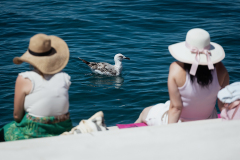 842A3836