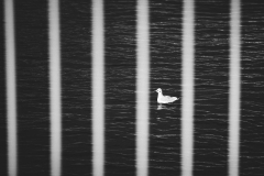 IMG_8846