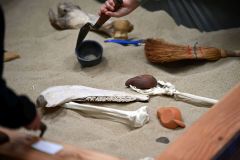 noc-unizd-52