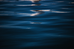 IMG_5089
