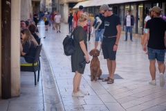 Subotnja_spica_02_10_21_-87-of-121