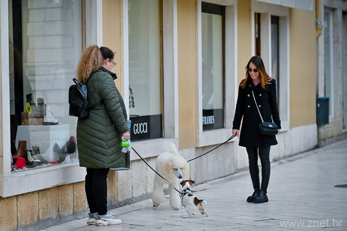 Subotnja_spica_22_01_22_-22-of-97