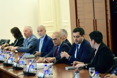 tirana-1