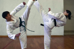 ultima-2