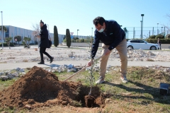 Zadar-Open-Masline-1