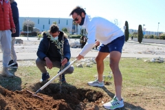 Zadar-Open-Masline-3