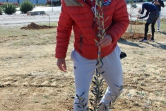 Zadar-Open-Masline-5