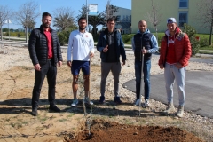 Zadar-Open-Masline-6