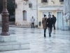 thumbs_img_9312