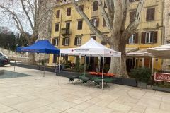 IMG-20250211-WA0013