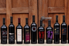 Francuske-sorte-zadarskog-zaleda-Fino-Vino-30.03.2022.-2