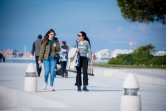 Djir_po_gradu_07_02_25_-13-of-53